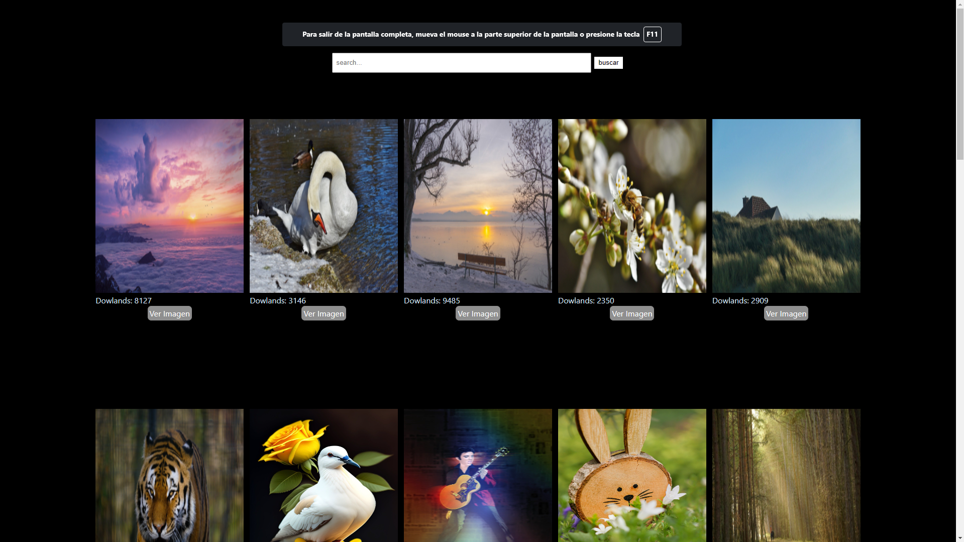 Web de Buscador de Imagenes
